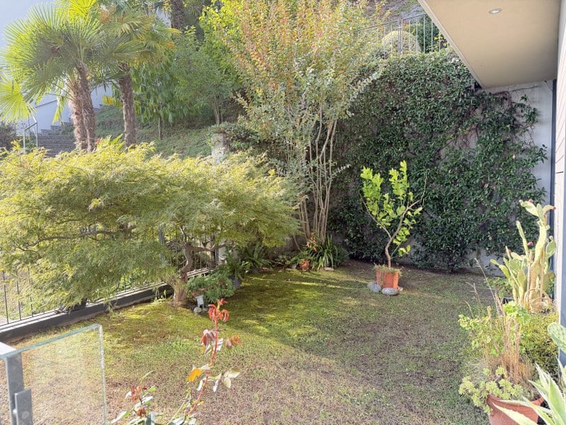2 ½ Zimmer Wohnung