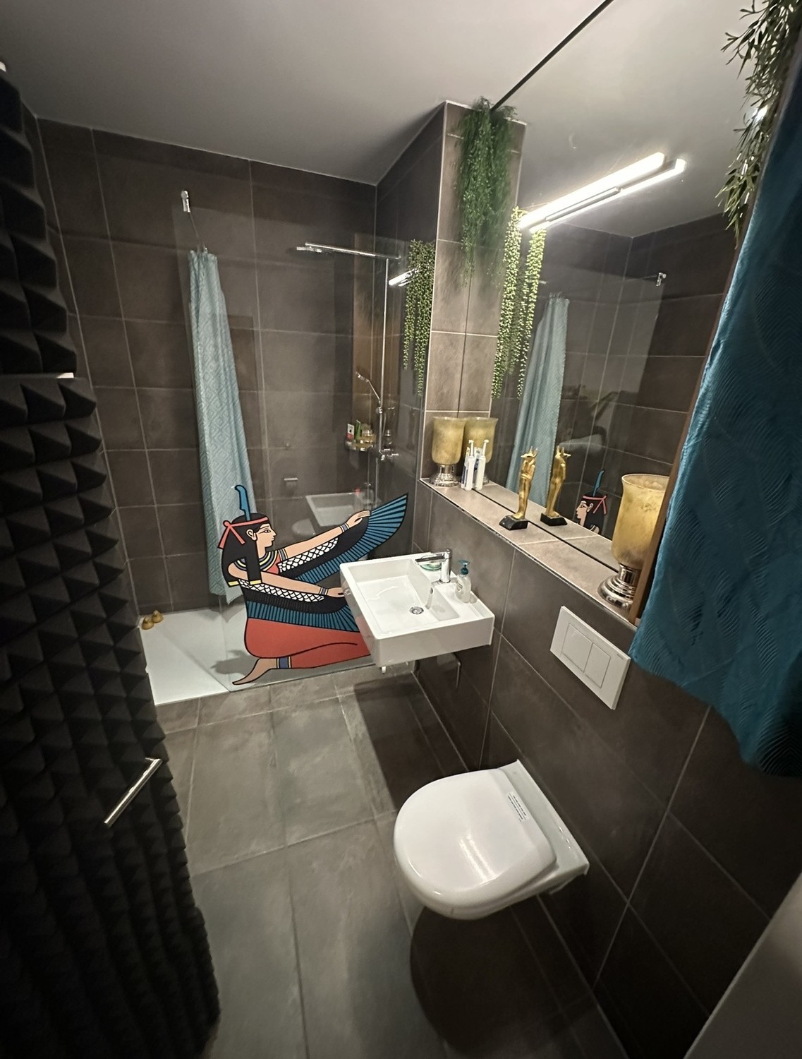 Room in a shared flat