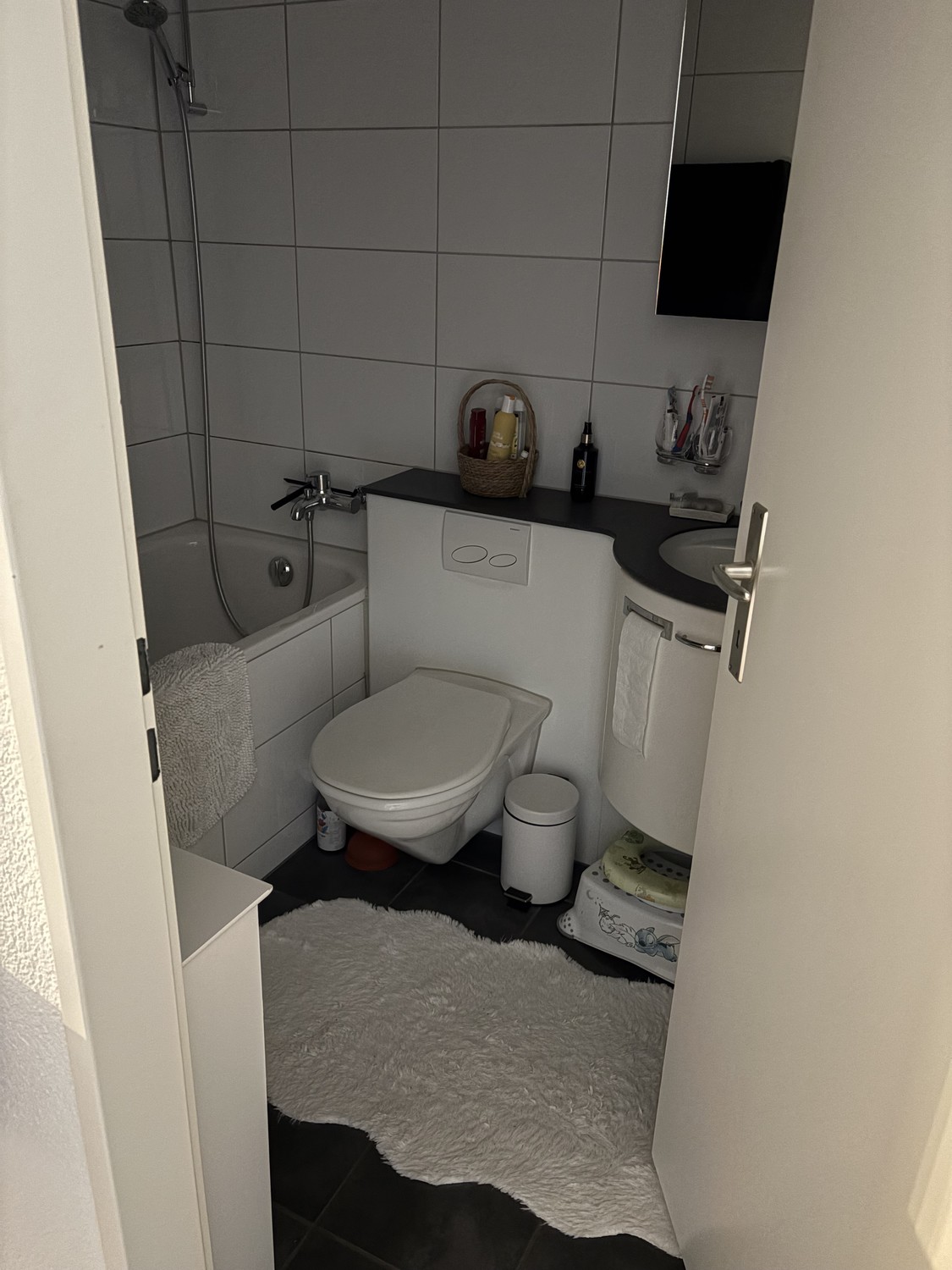 3 ½ rooms apartment