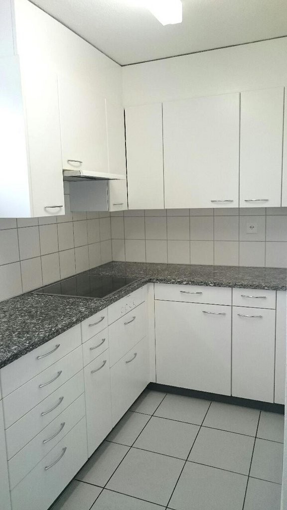 Appartamento di 4 ½ locali