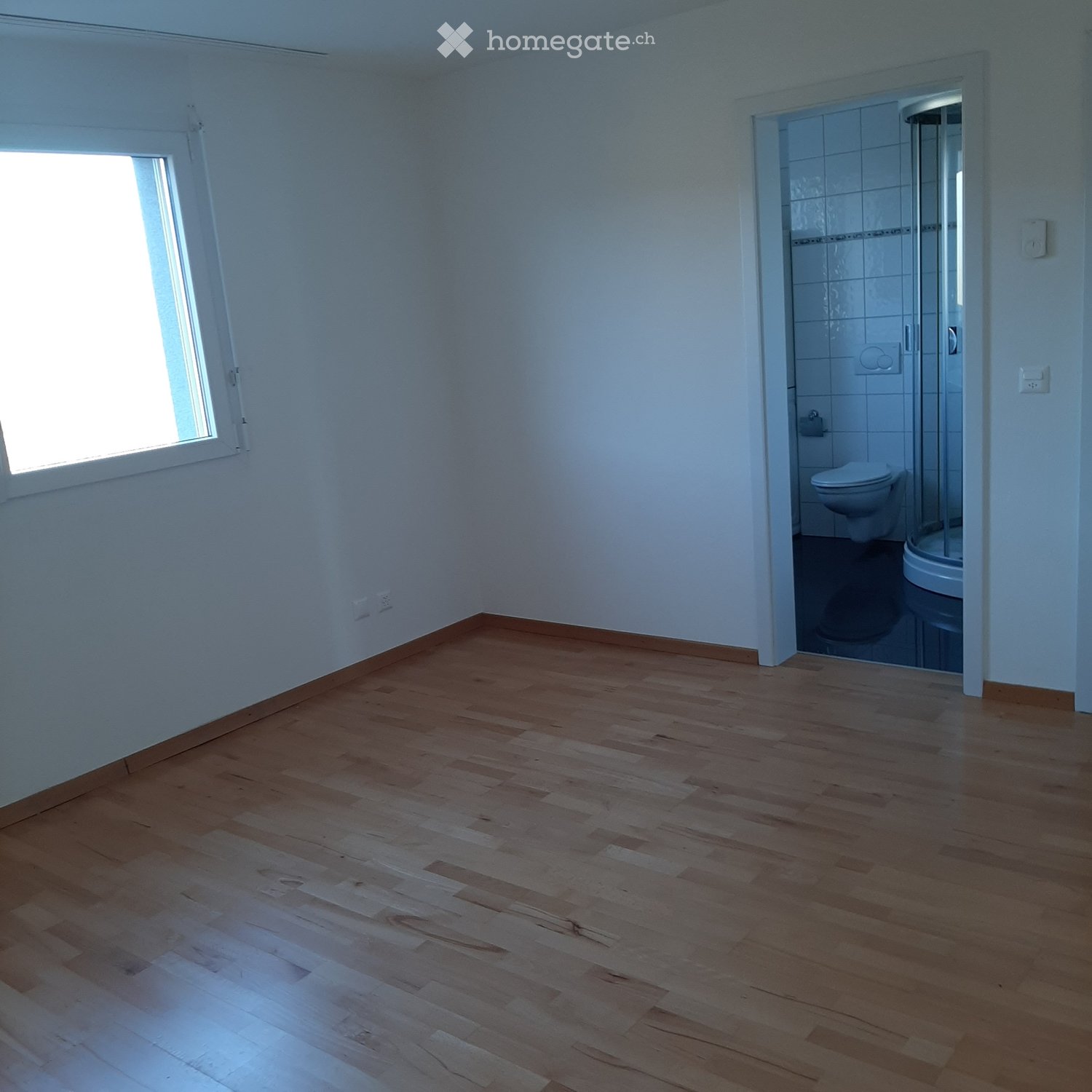 4 ½ rooms apartment (3)