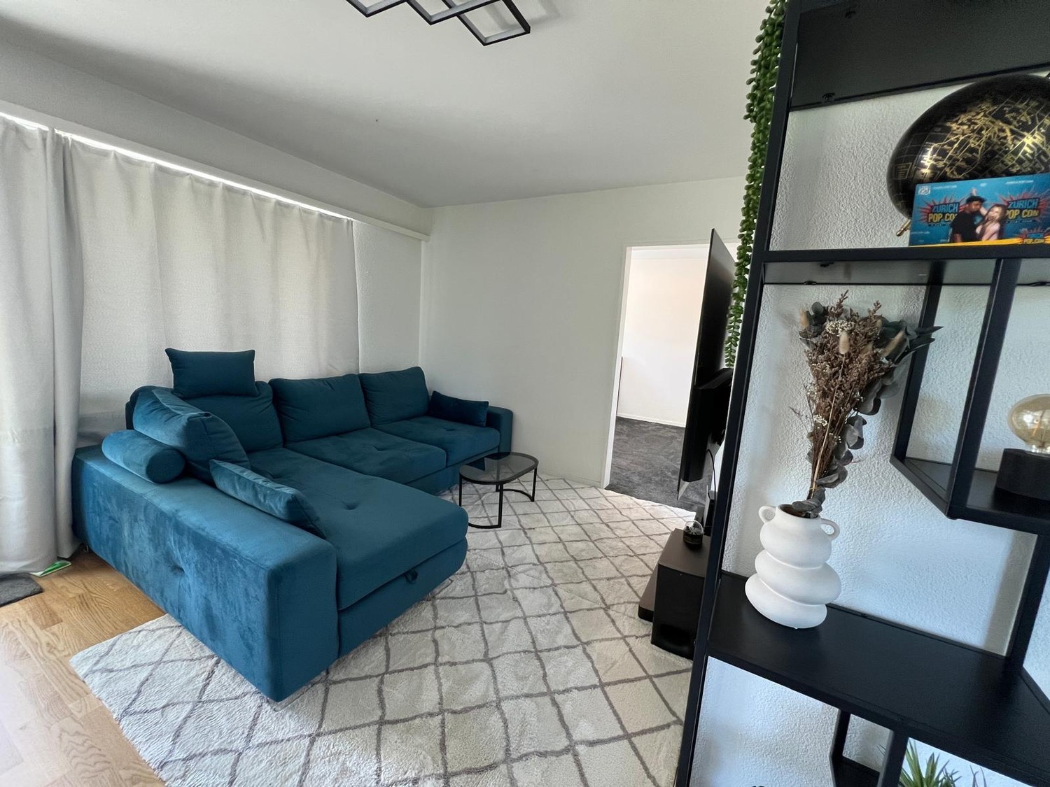Appartement de 1 ½ pièce