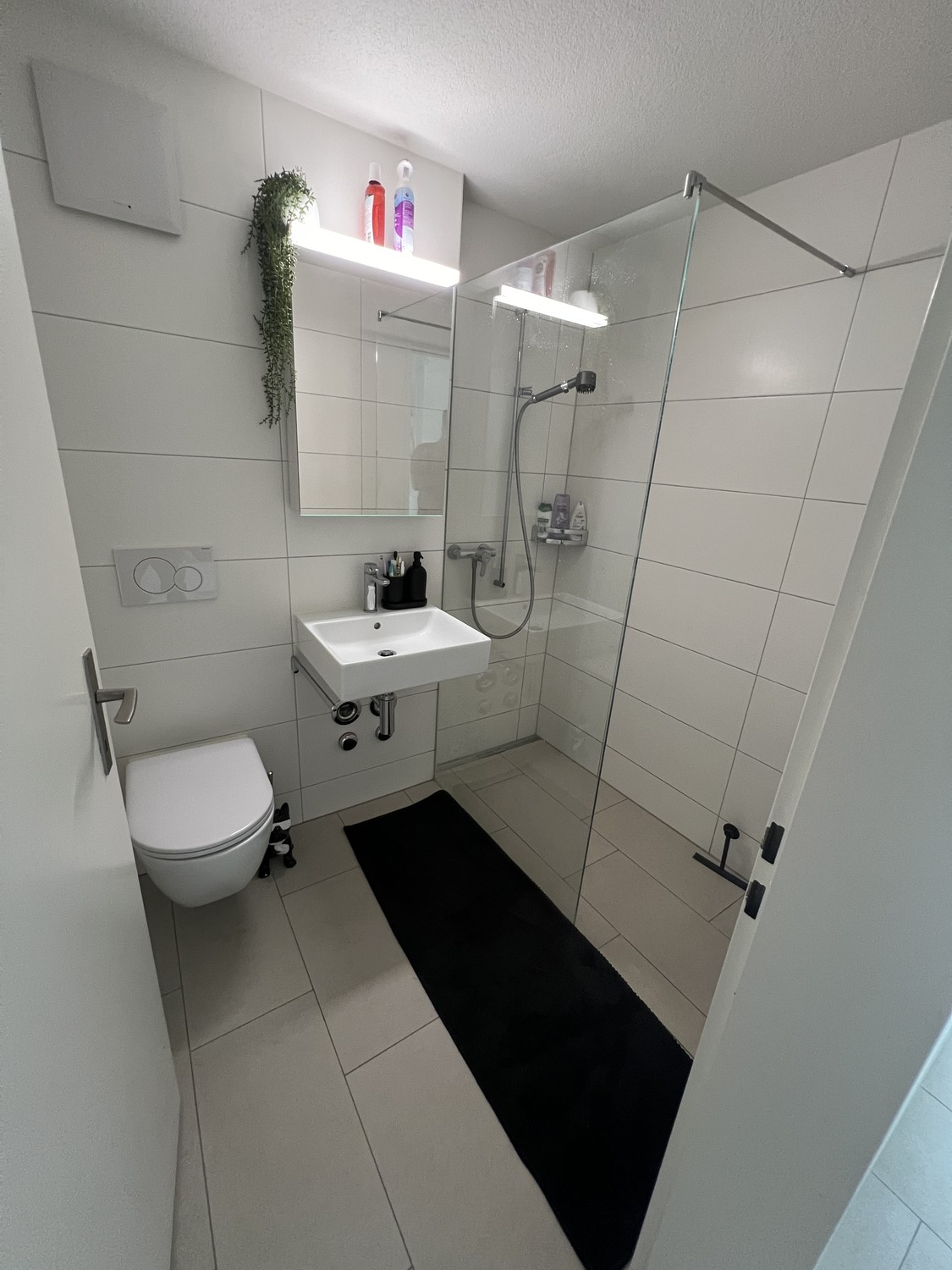 Appartement de 1 ½ pièce