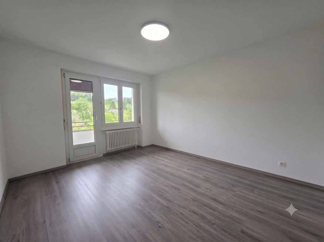 3 ½ Zimmer-Wohnung