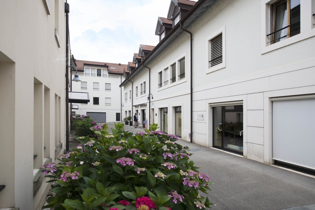 5 ½ rooms duplex