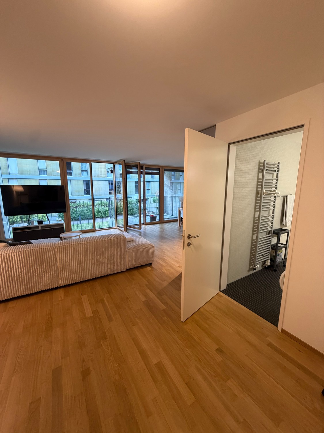 2 ½ rooms apartment