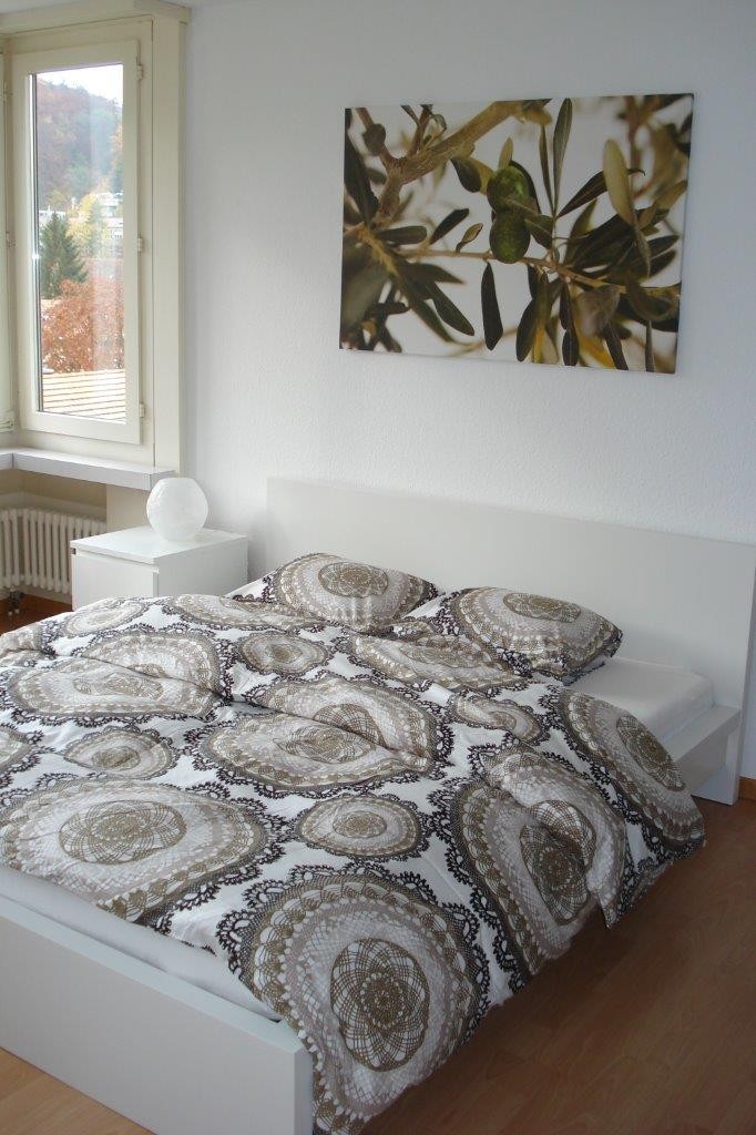 1 ½ Zimmer-Apartment