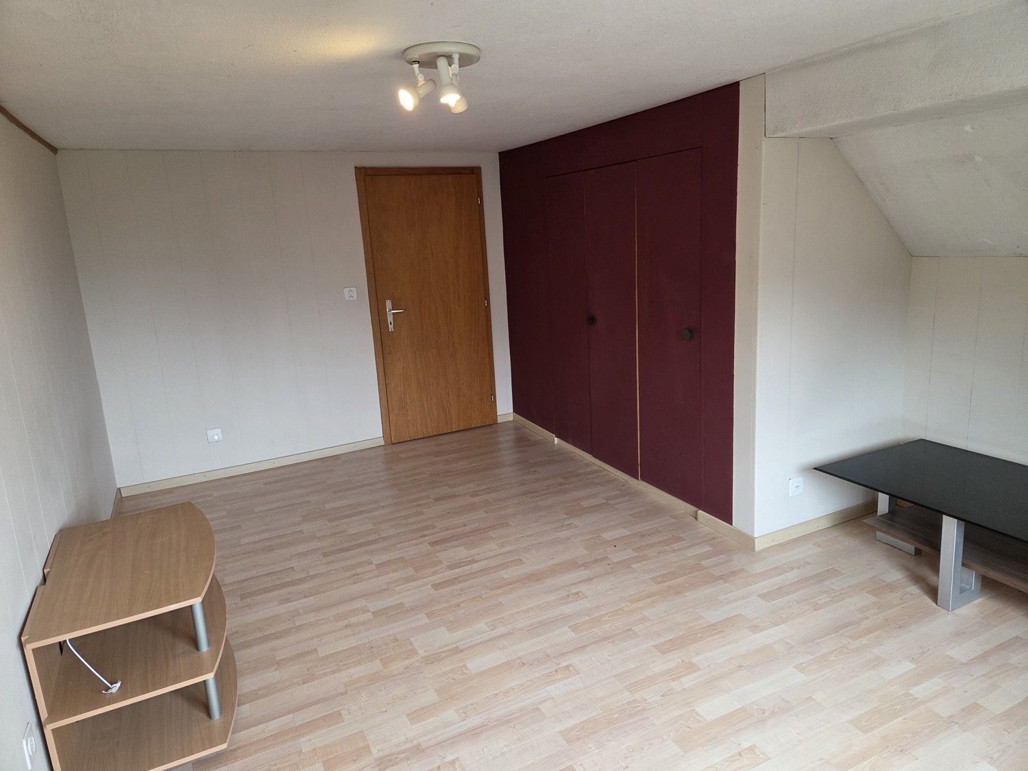 Appartamento di 5 ½ locali