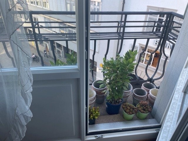 3 ½ pièces appartement