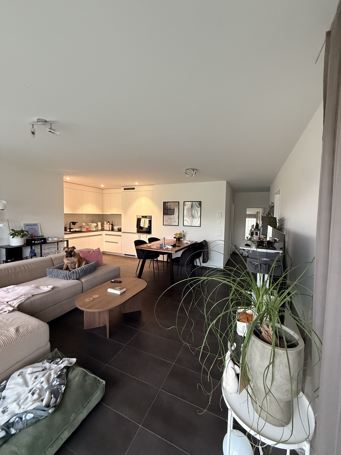 3 ½ rooms apartment