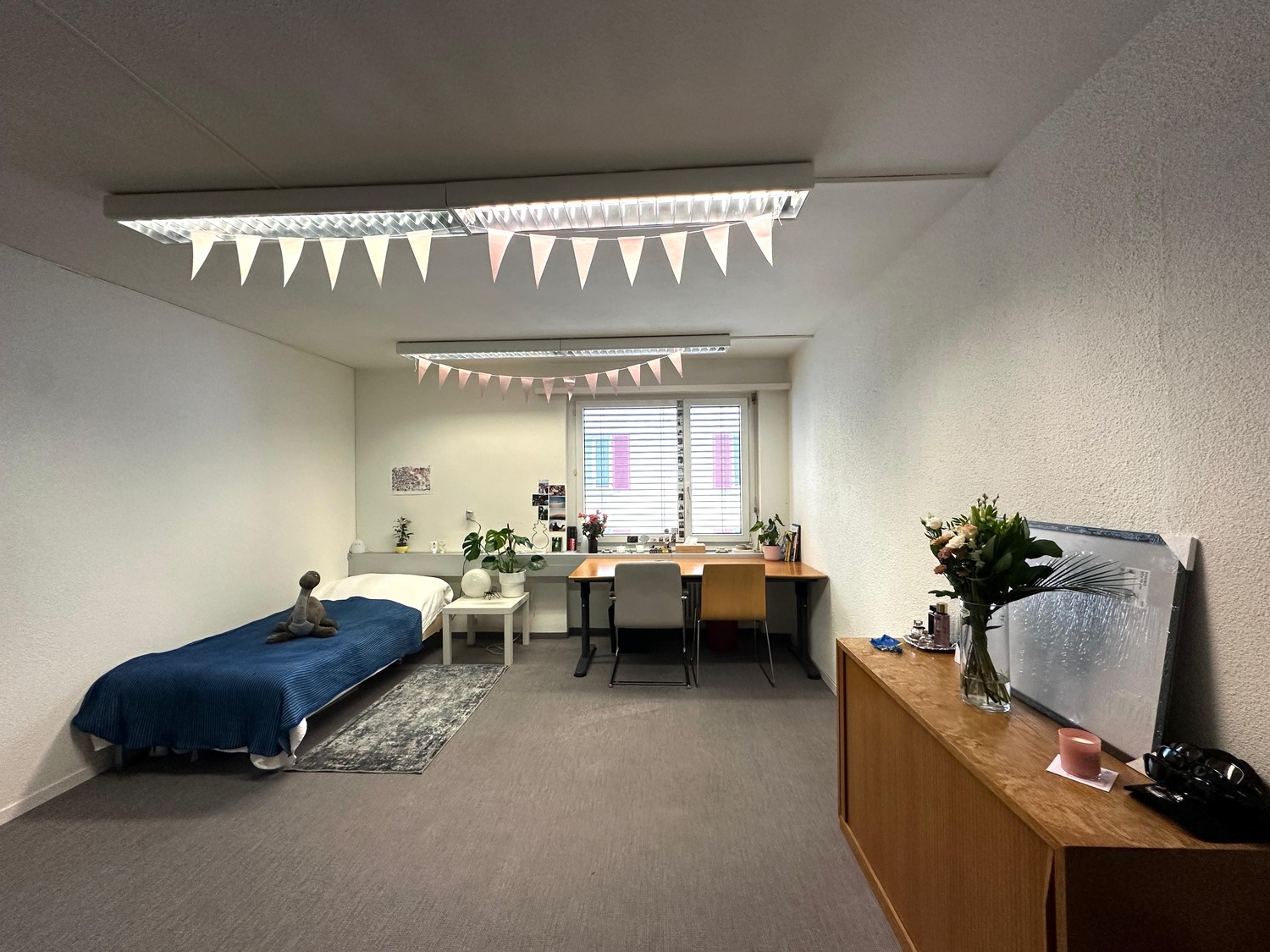 Room in a shared flat