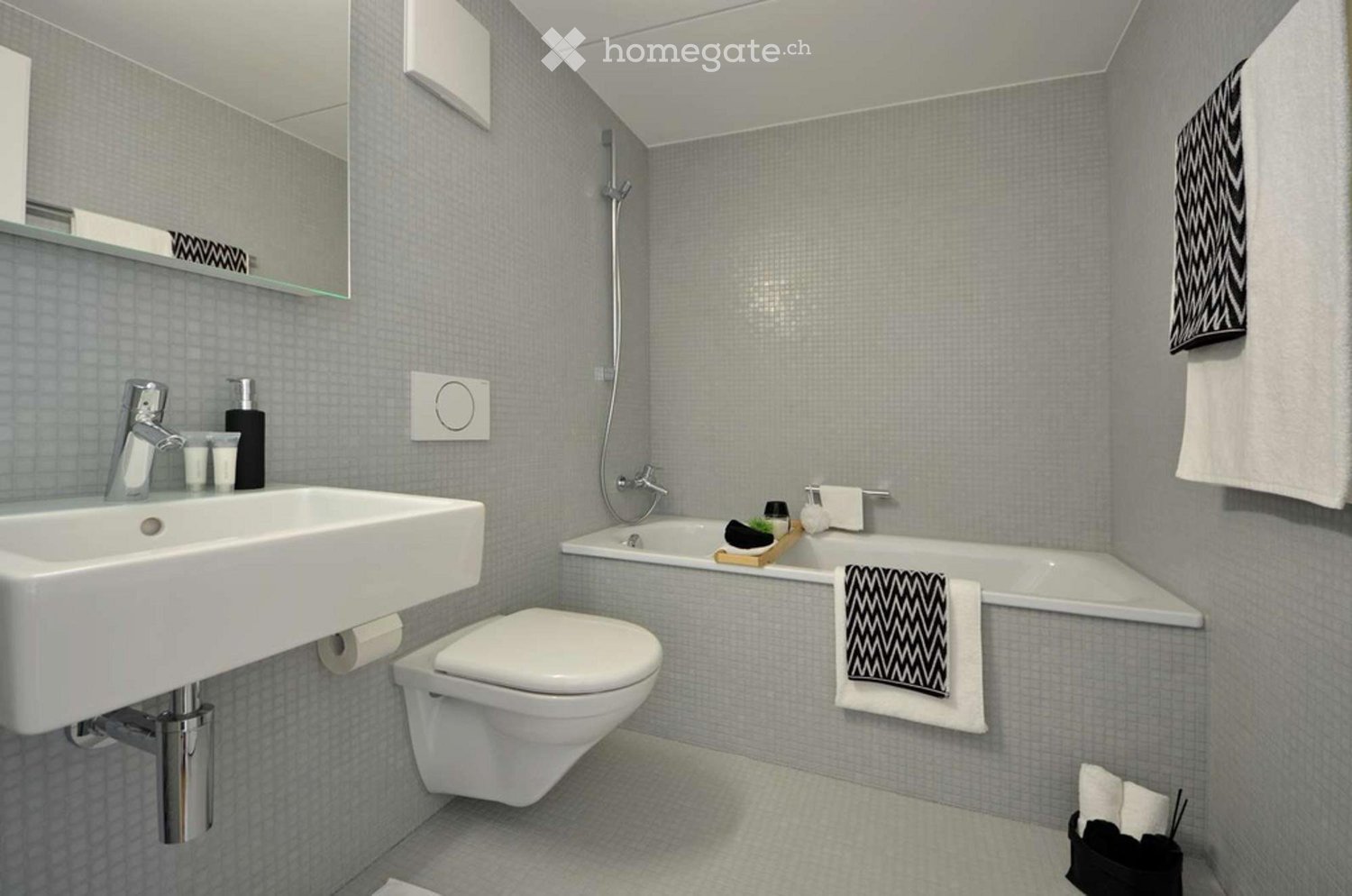 2 ½ rooms apartment
