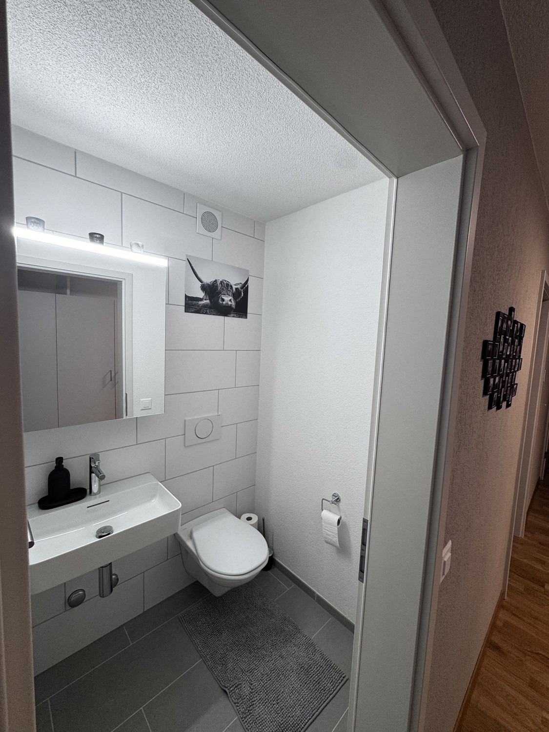 Room in a shared flat