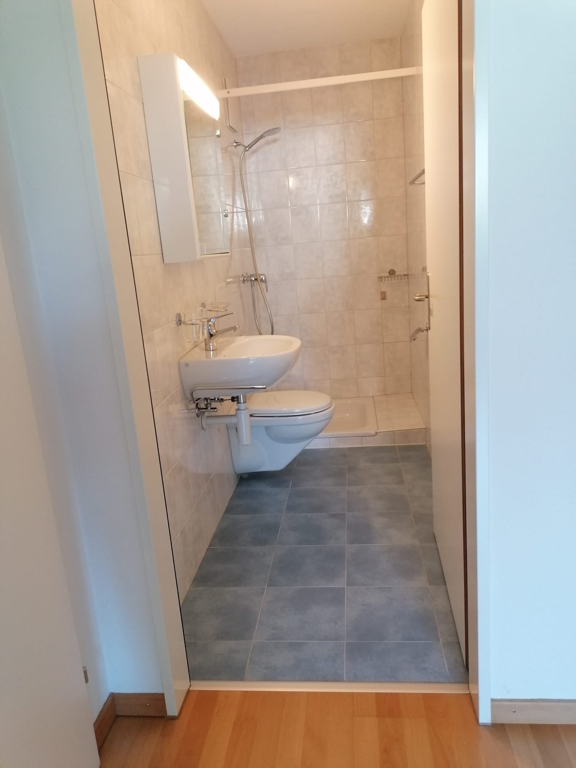 Appartement de 3 ½ pièces