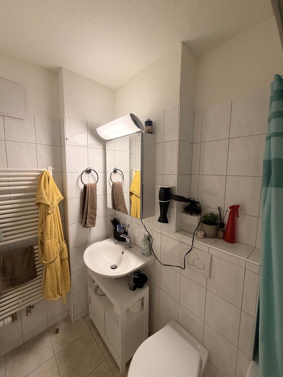 2 ½ Zimmer Wohnung