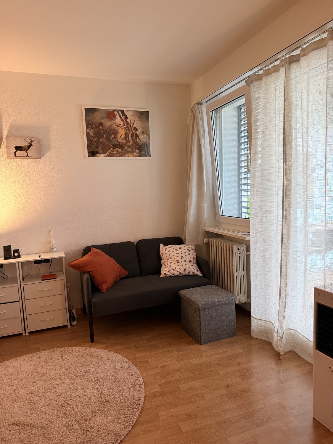 2 ½ Zimmer Wohnung