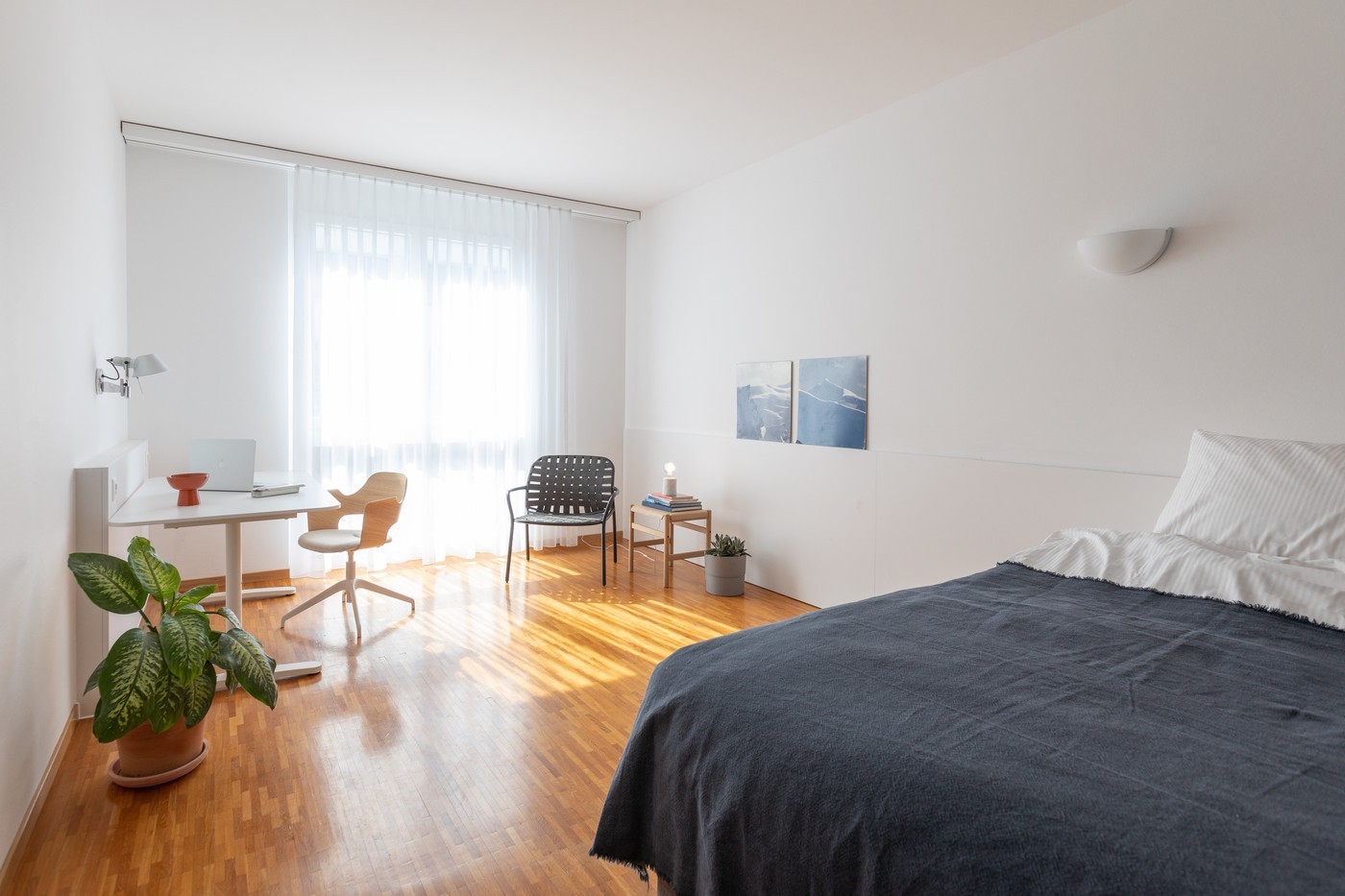 Room in a shared flat
