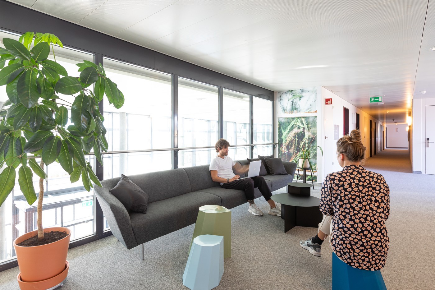 Room in a shared flat