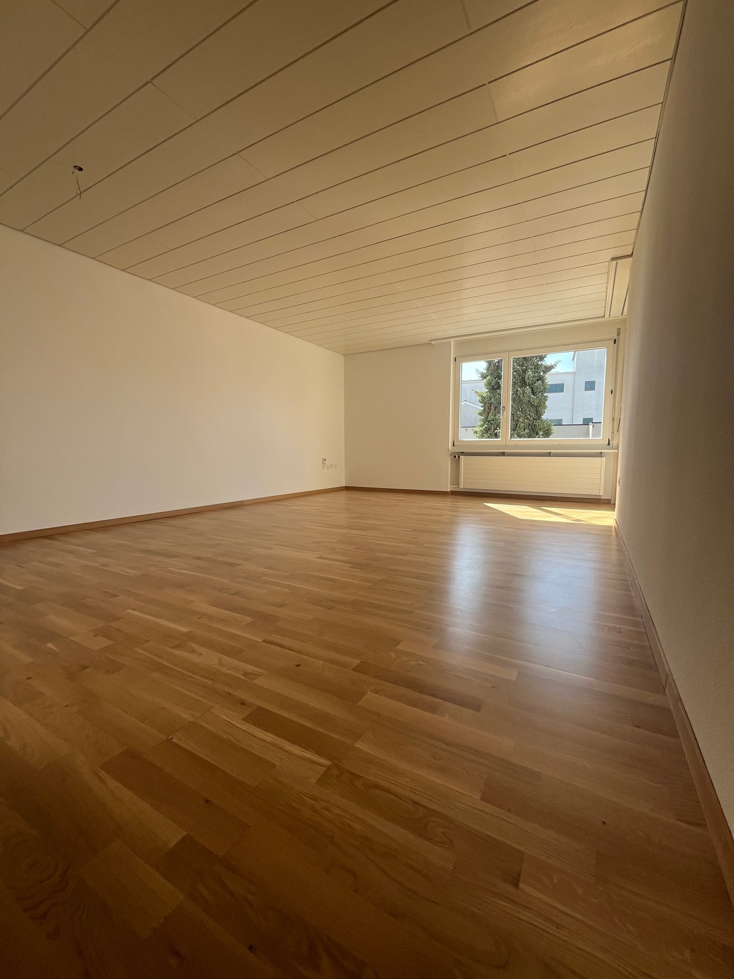 2 ½ rooms apartment, Foto 2 von 7