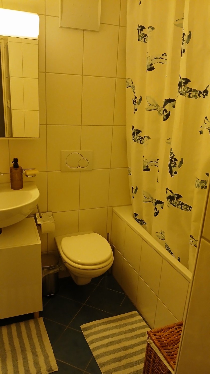 2 ½ rooms apartment, Foto 8 von 8