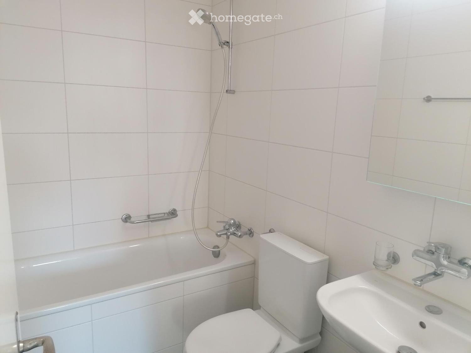 3 ½ rooms apartment (4)