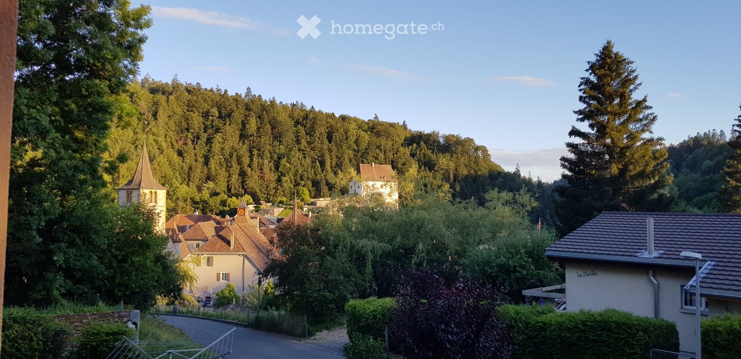 2 ½ Zimmer Wohnung