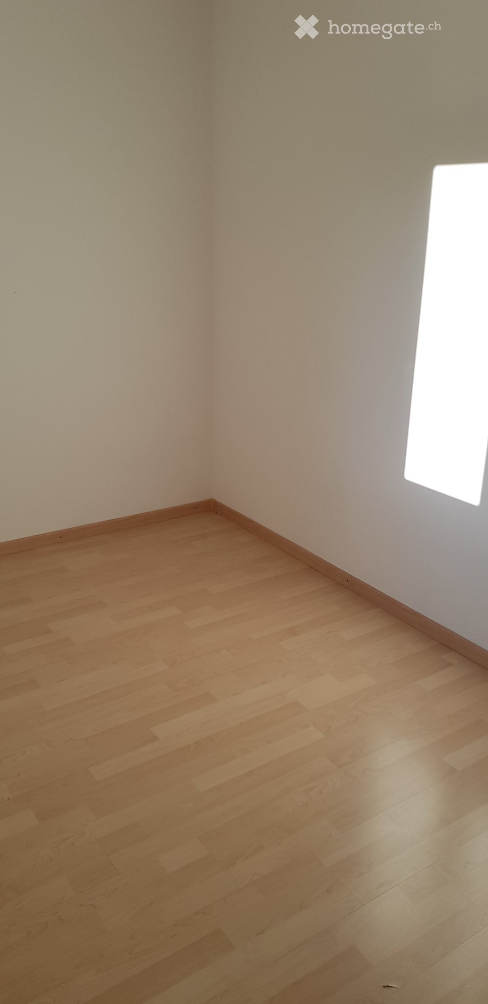 2 ½ Zimmer Wohnung