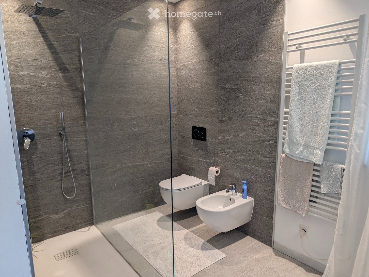Appartement de 3 ½ pièces