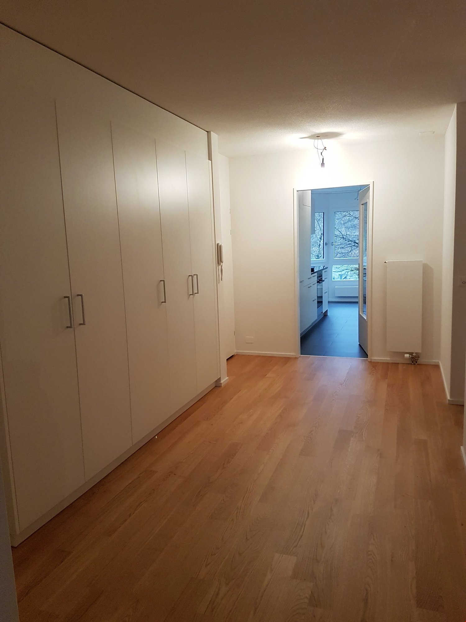 2 ½ rooms apartment