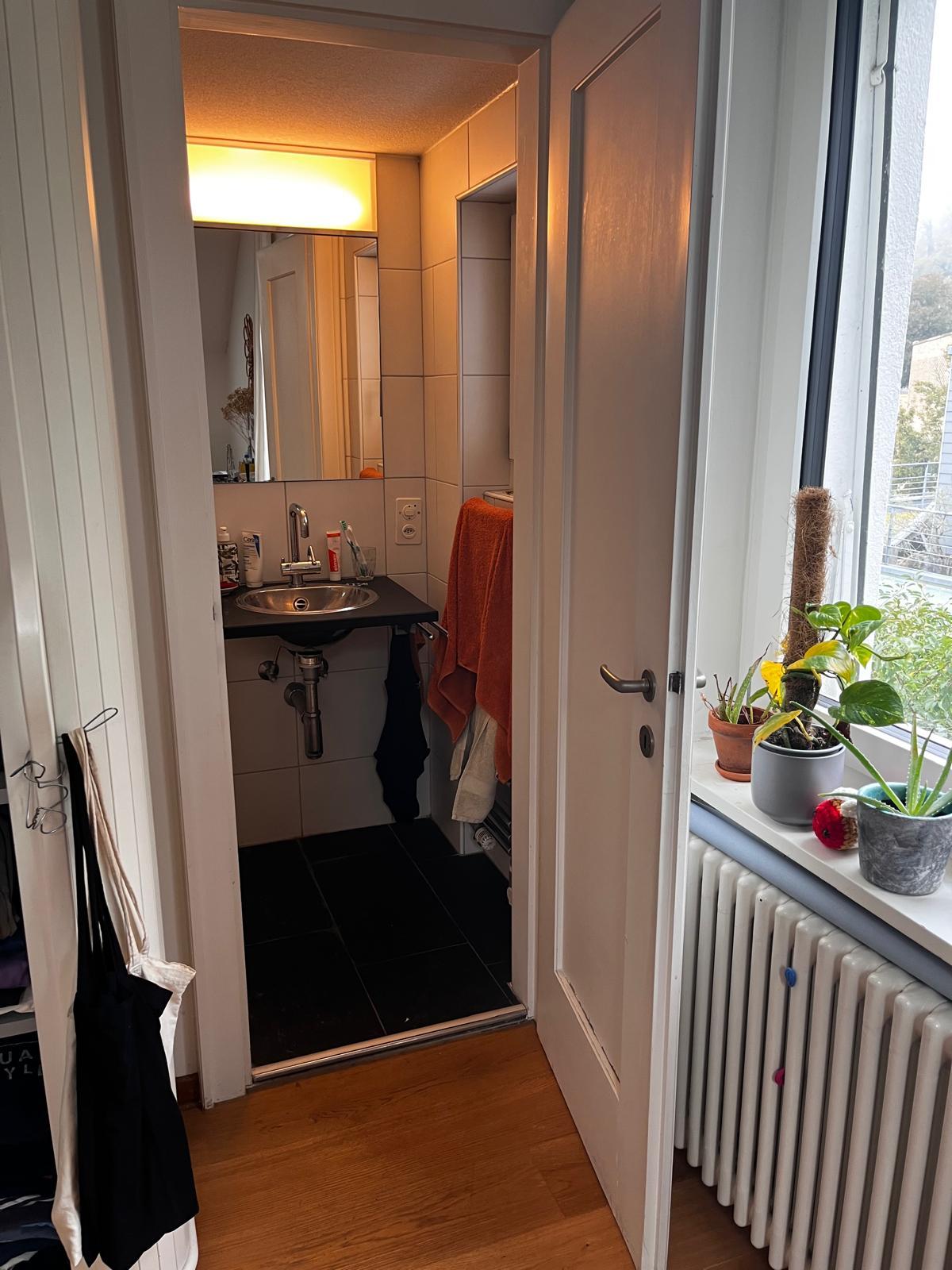 Room in a shared flat