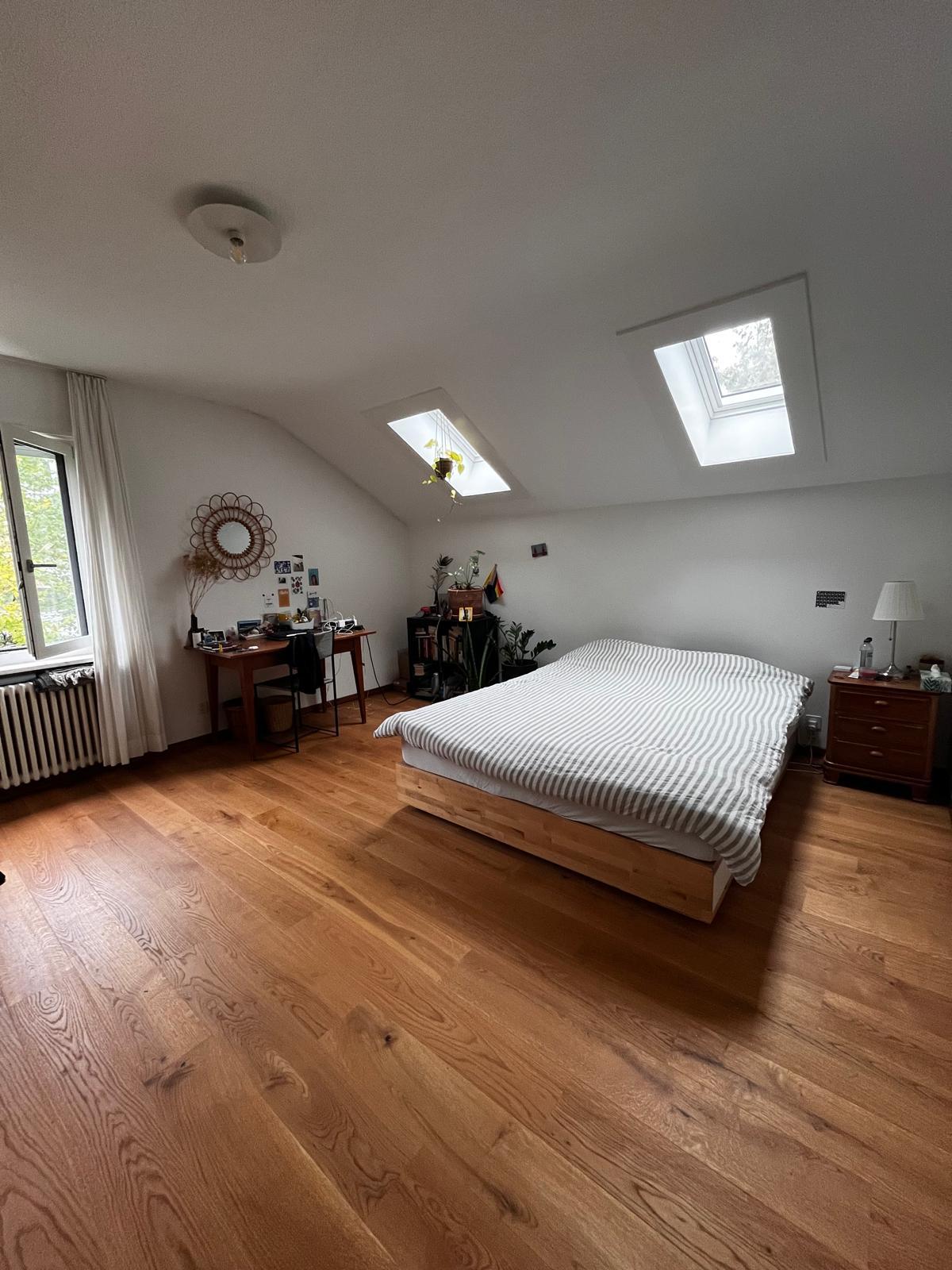 Room in a shared flat