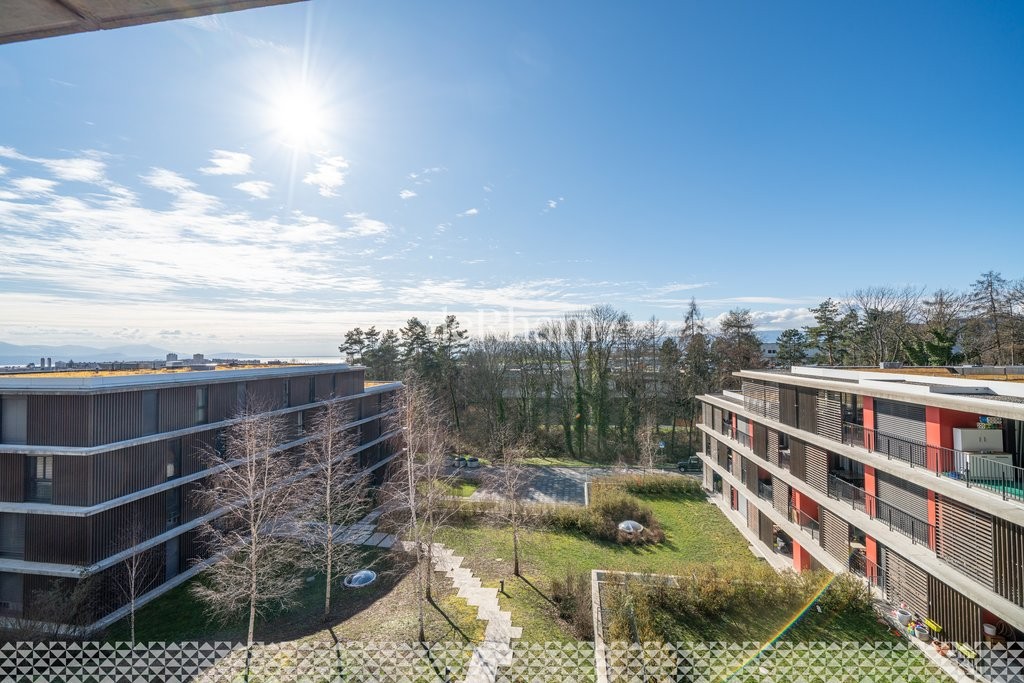 3 ½ Zimmer Wohnung