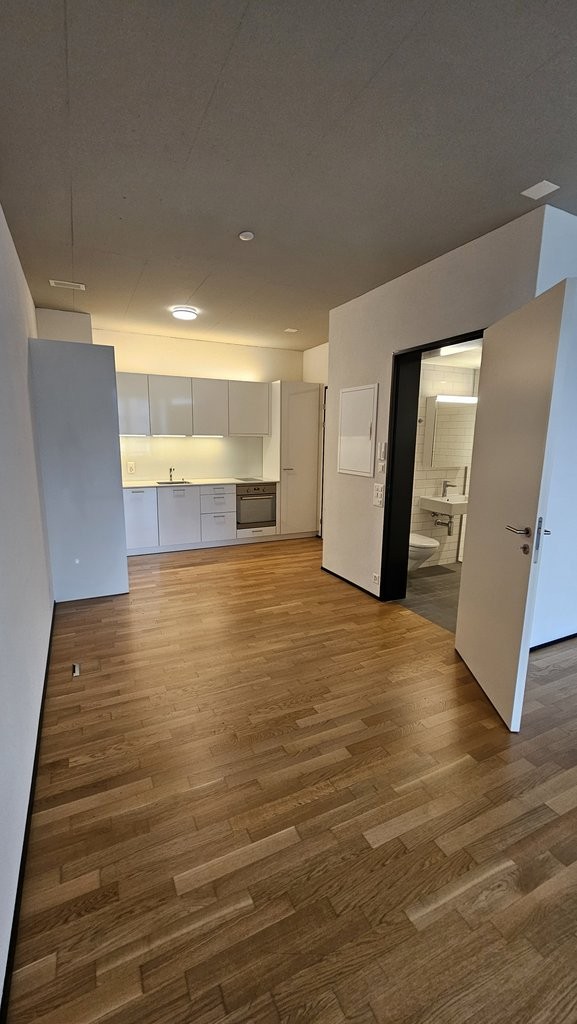 1 room apartment