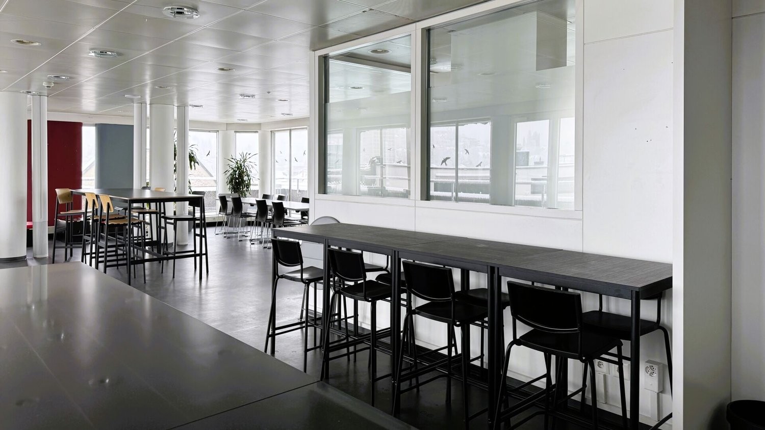 300m² office