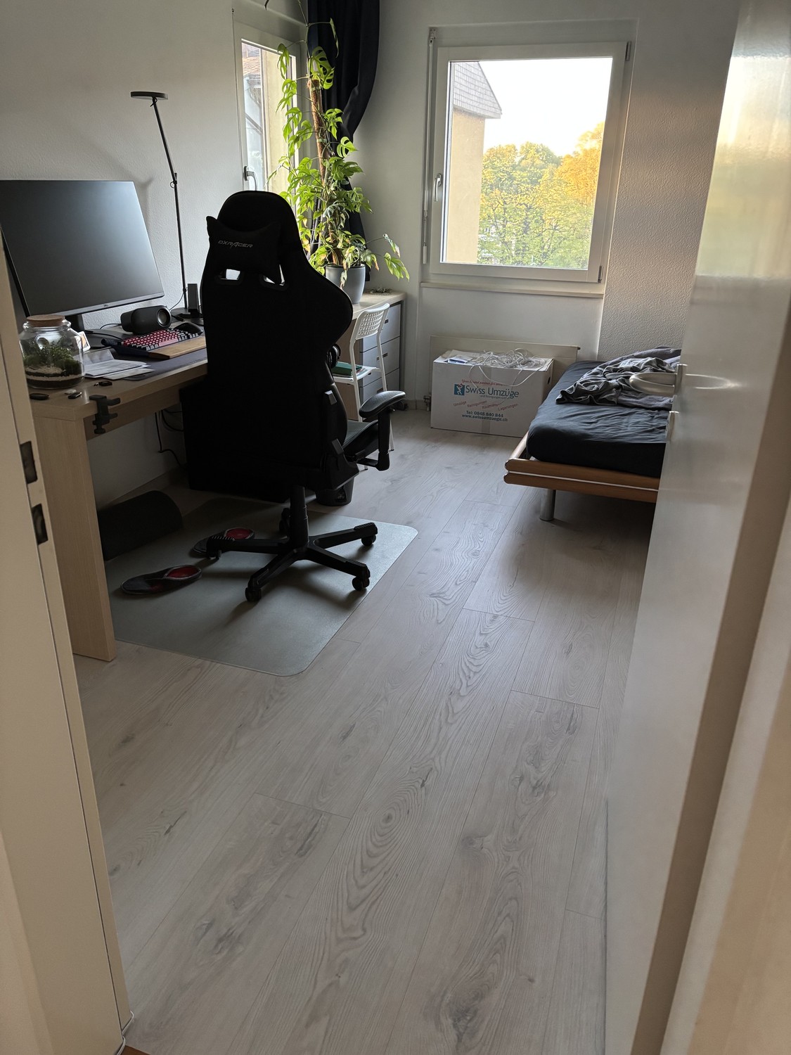 Appartement de 3 ½ pièces
