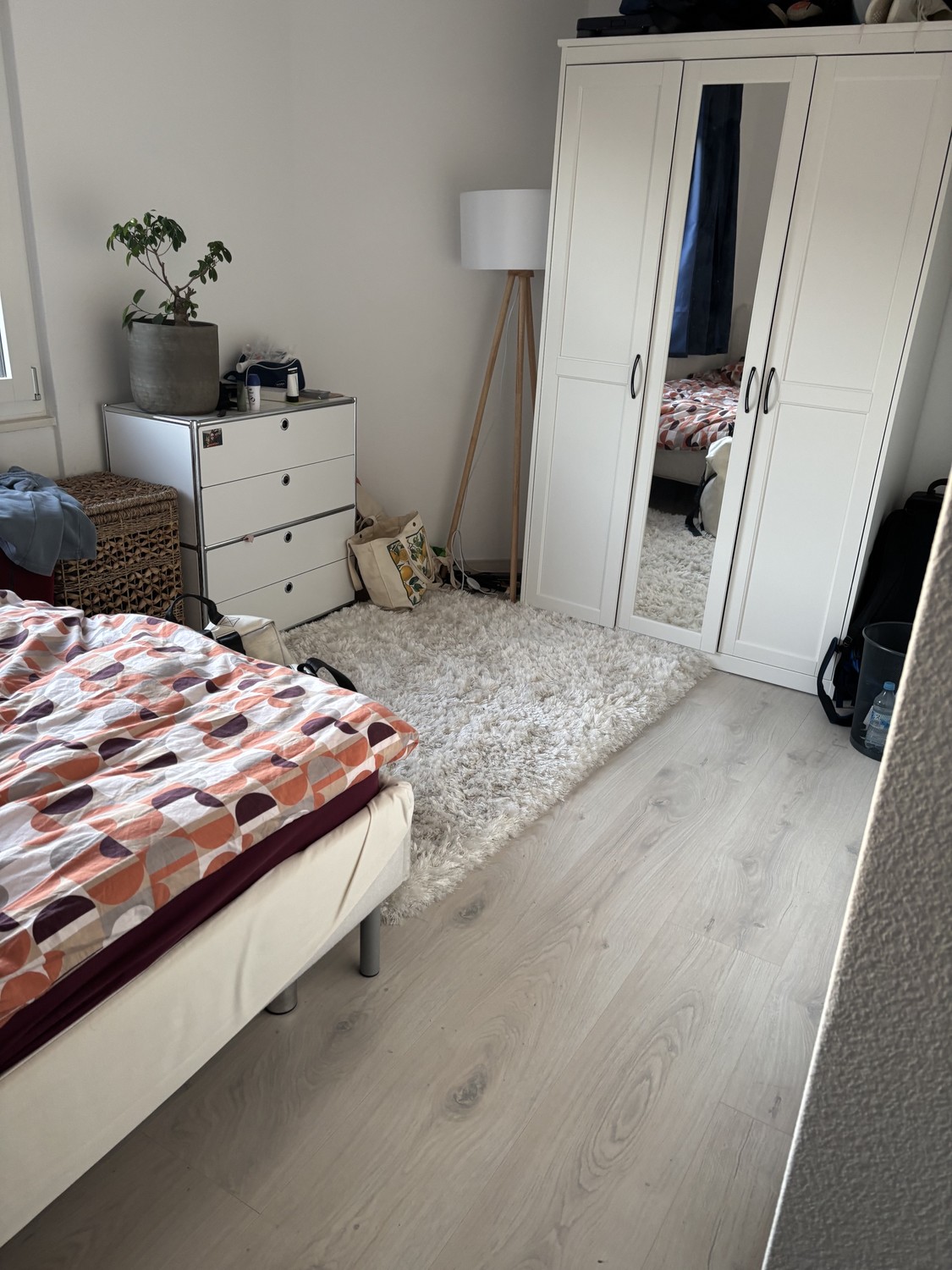 Appartement de 3 ½ pièces