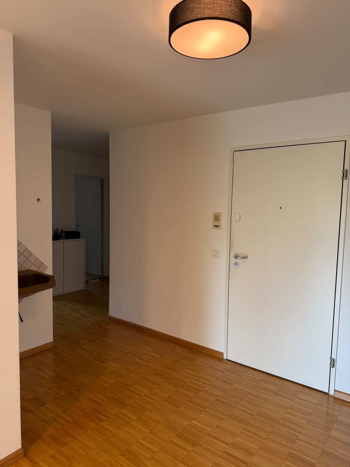 Appartement de 3 ½ pièces