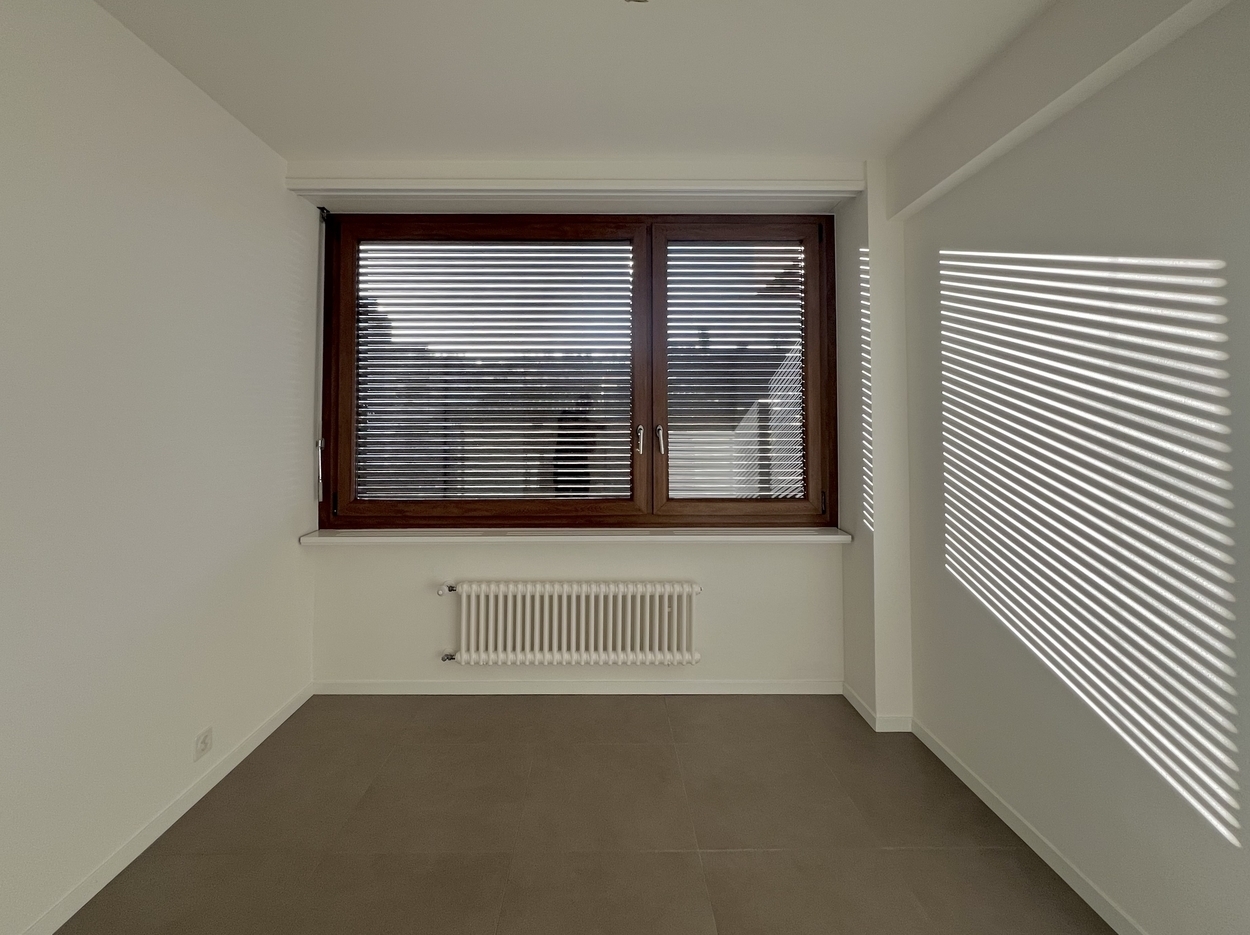 3 ½ Zimmer-Wohnung