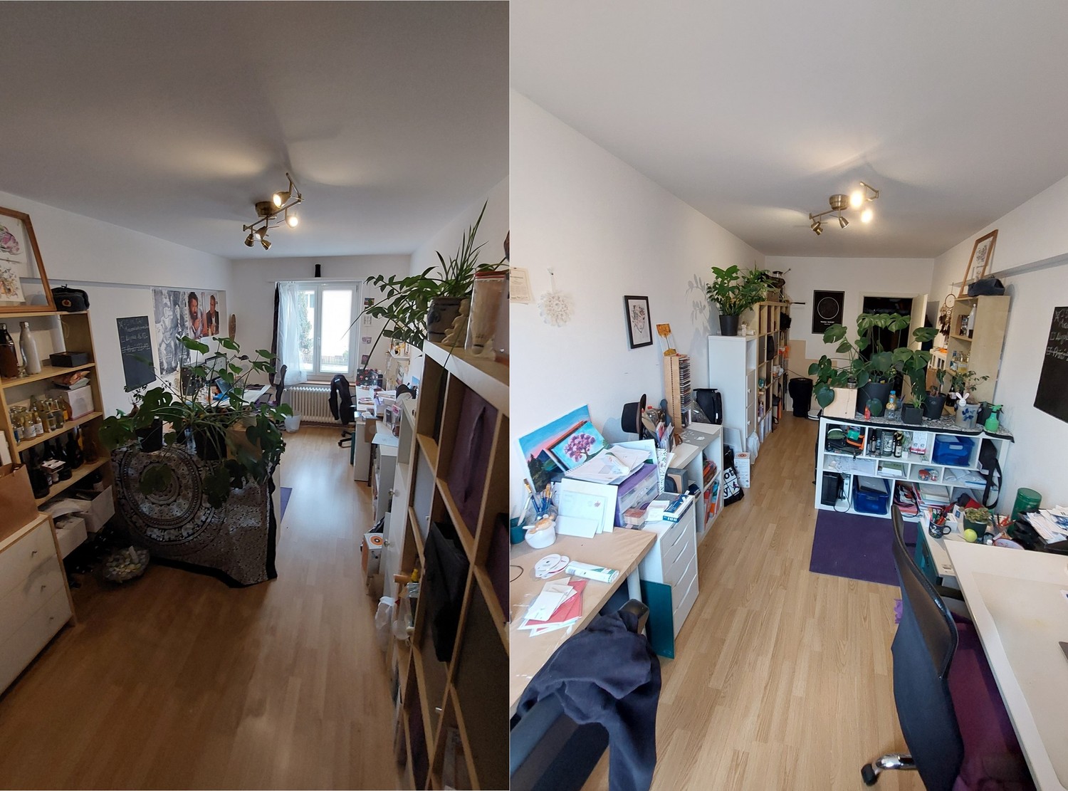 Room in a shared flat
