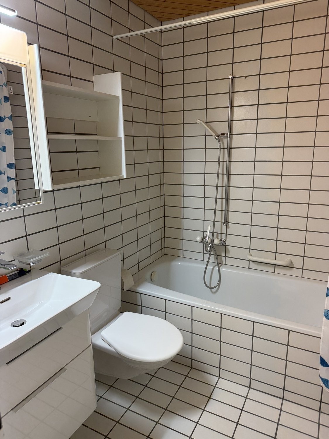 appartamento di 2 ½ locali