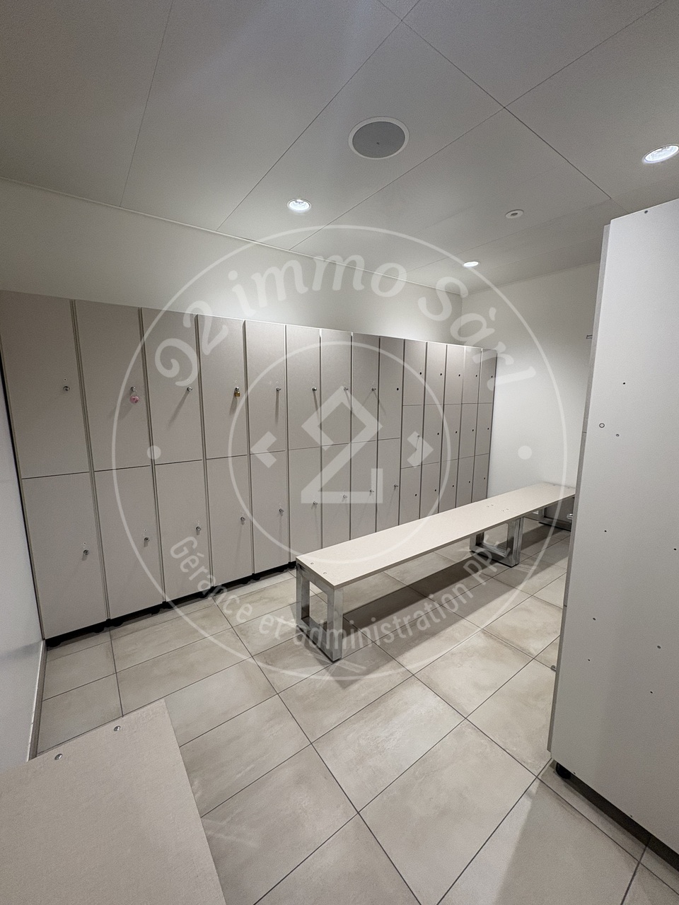 576m² commerciale