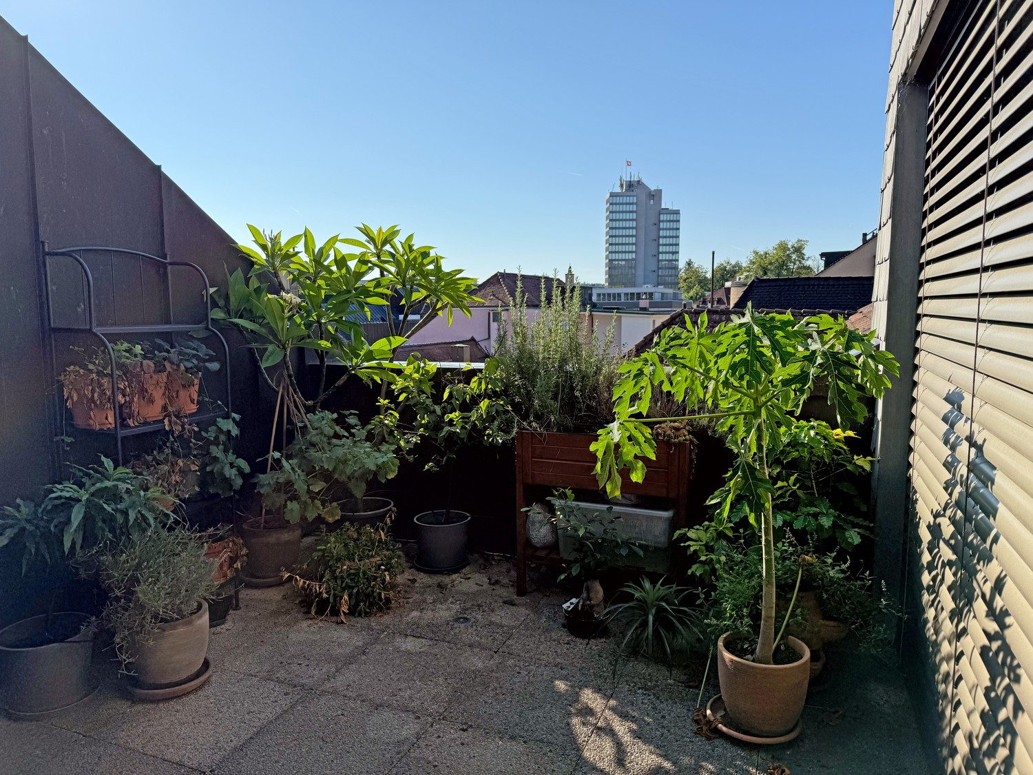 Appartement de 3 ½ pièces