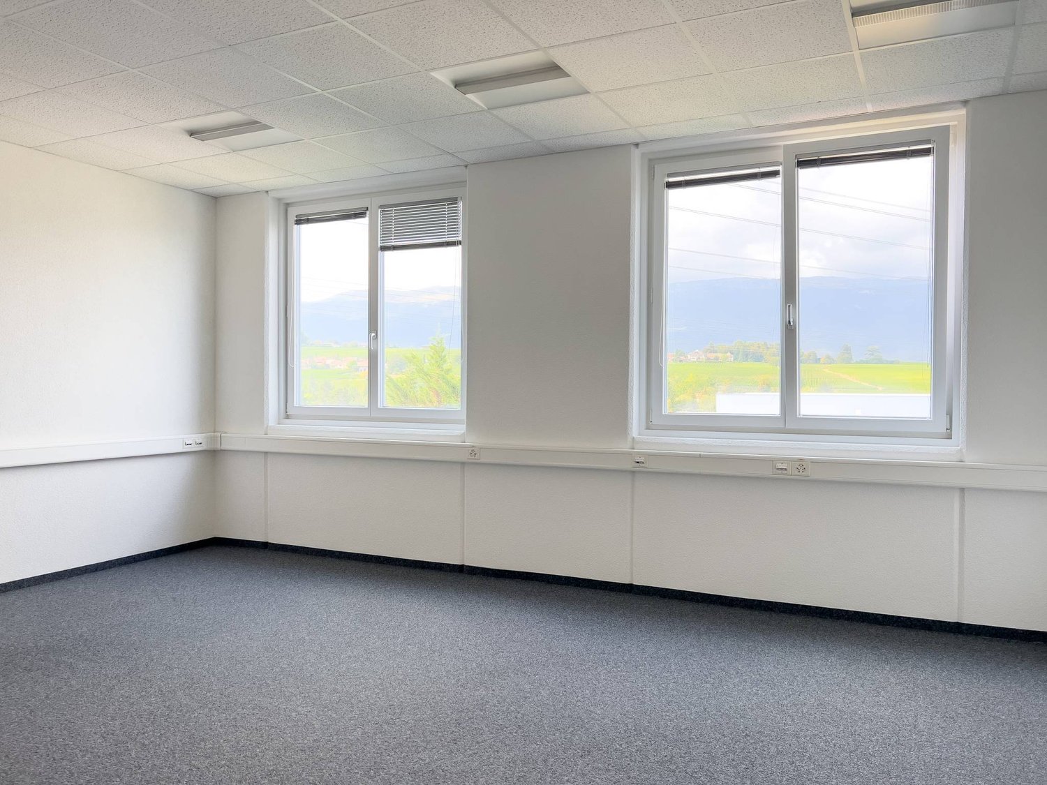 373m² office, Foto 2 von 6