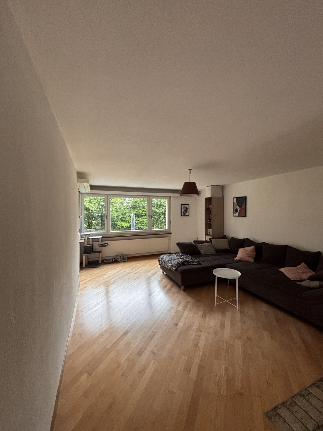 Chambre dans un appartement partagé