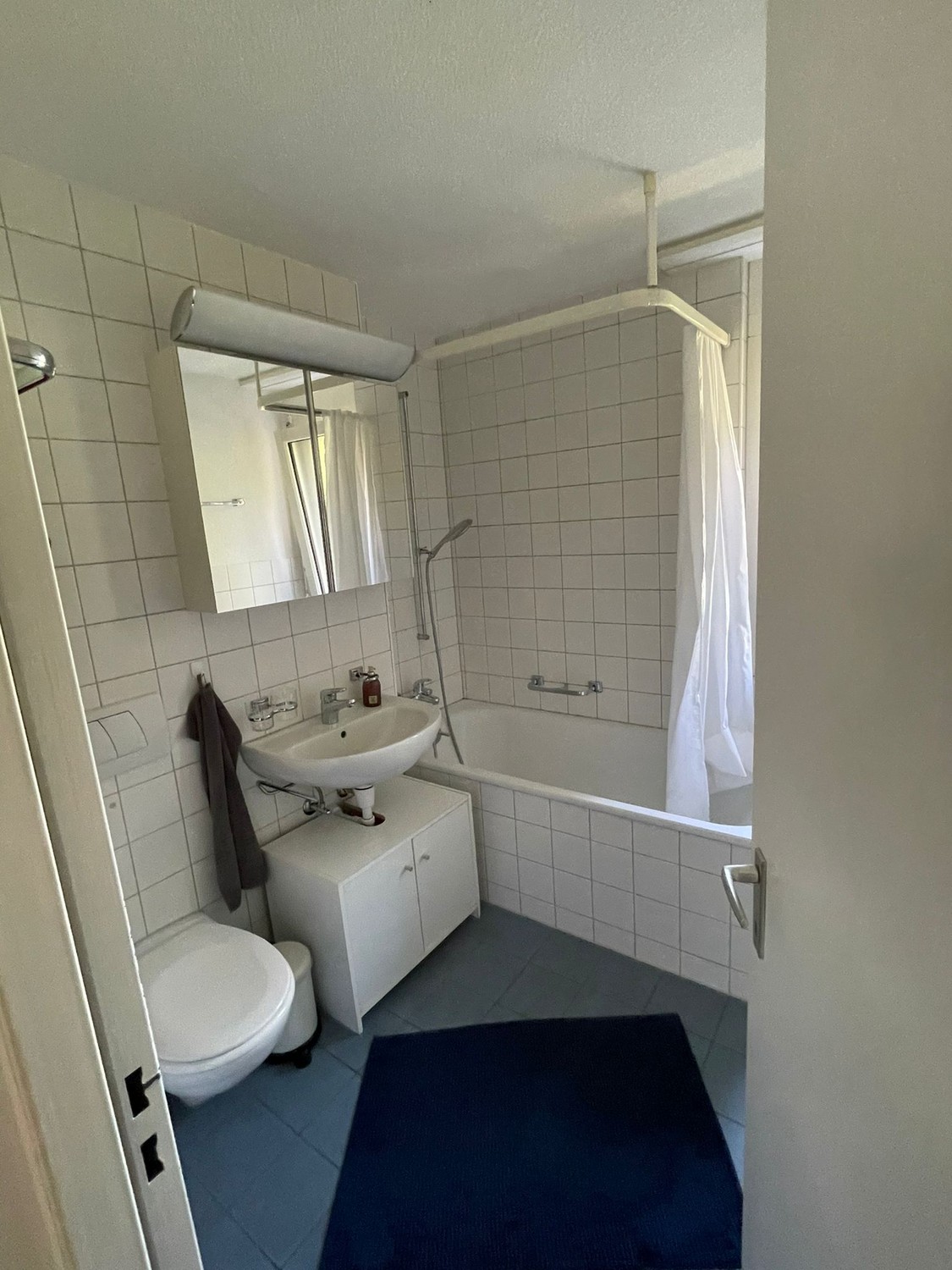 2 ½ Zimmer Wohnung