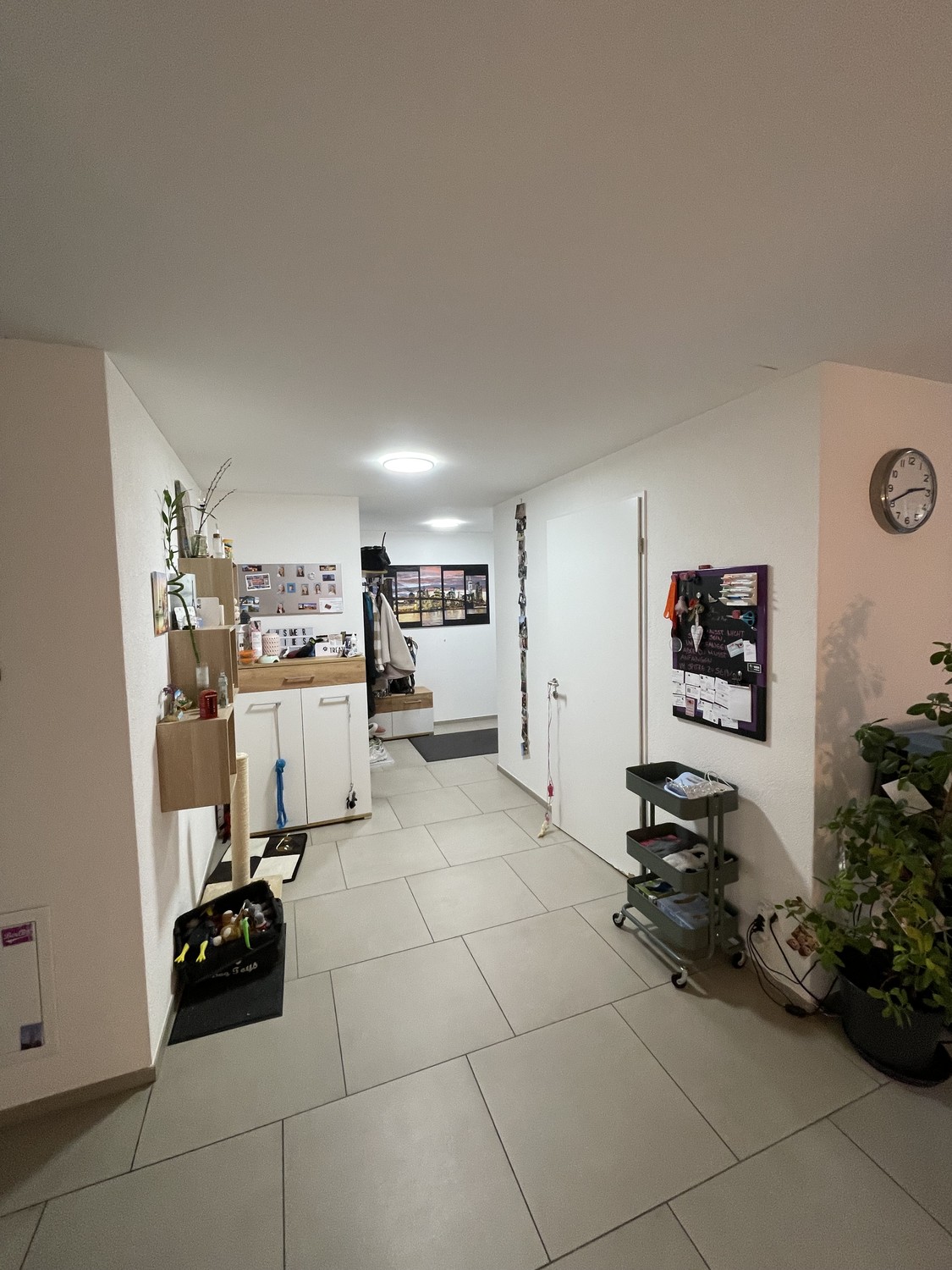 2 ½ rooms apartment