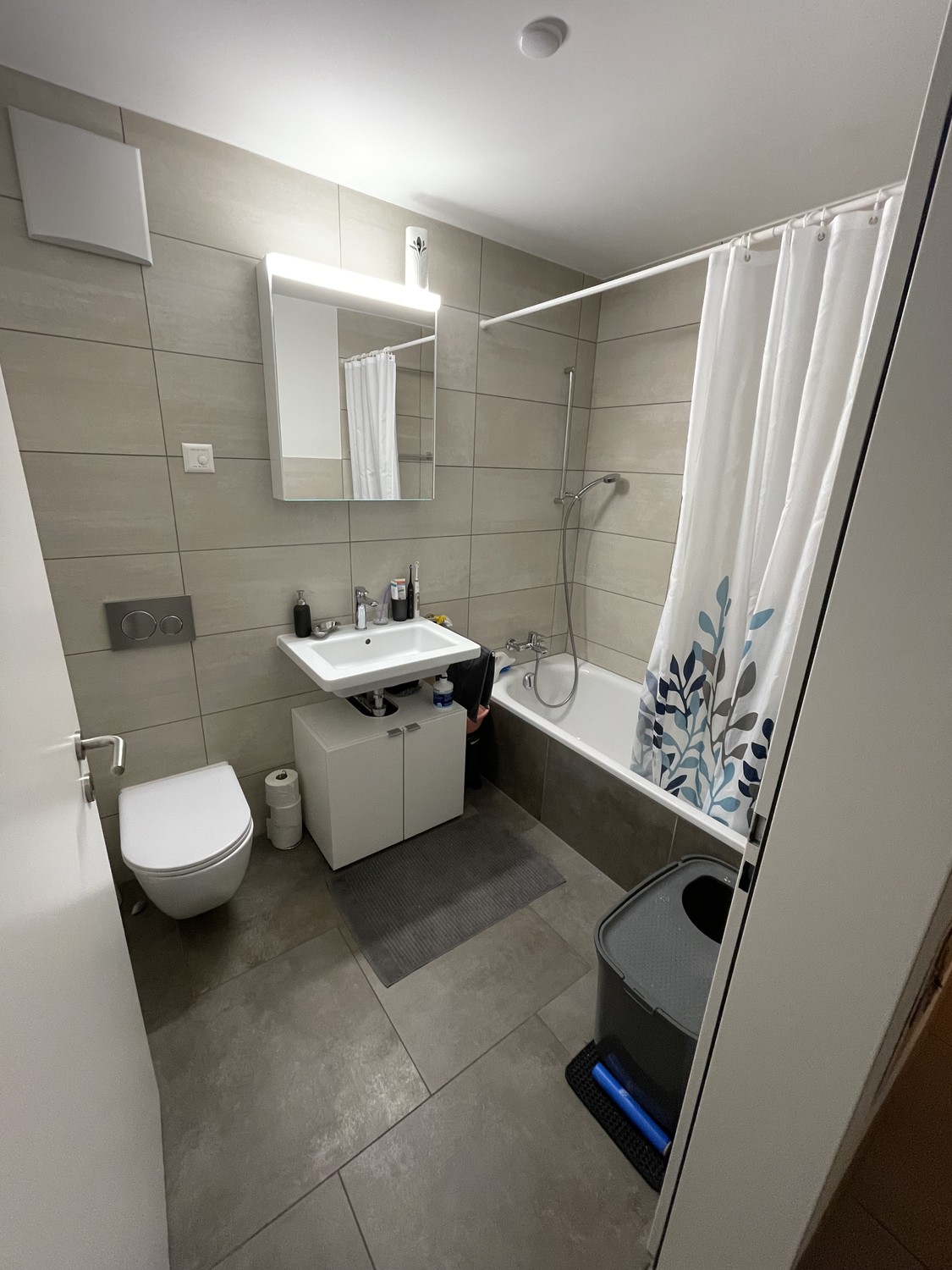 2 ½ rooms apartment