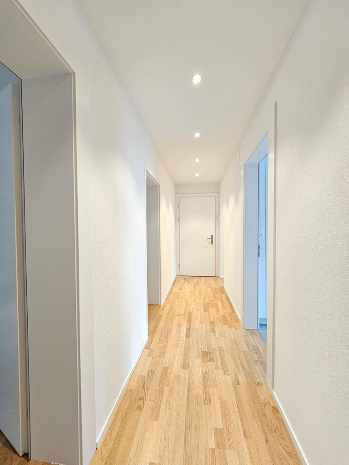 3 Zimmer Wohnung