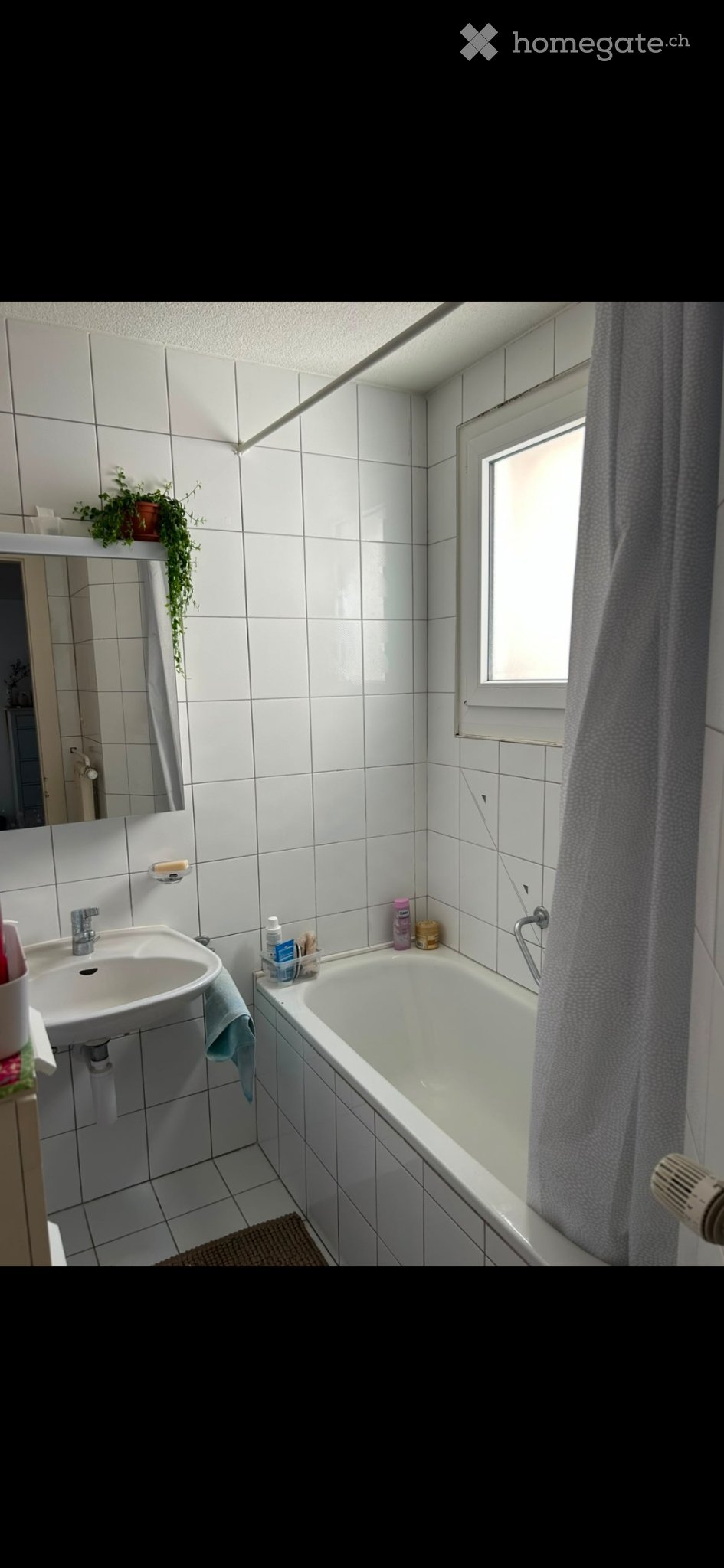 3 ½ Zimmer Wohnung