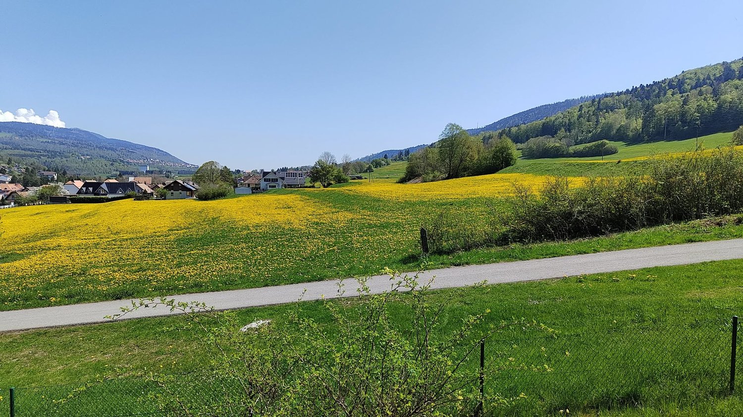 Zimmer in einer Wohngemeinschaft, Foto 2 von 8